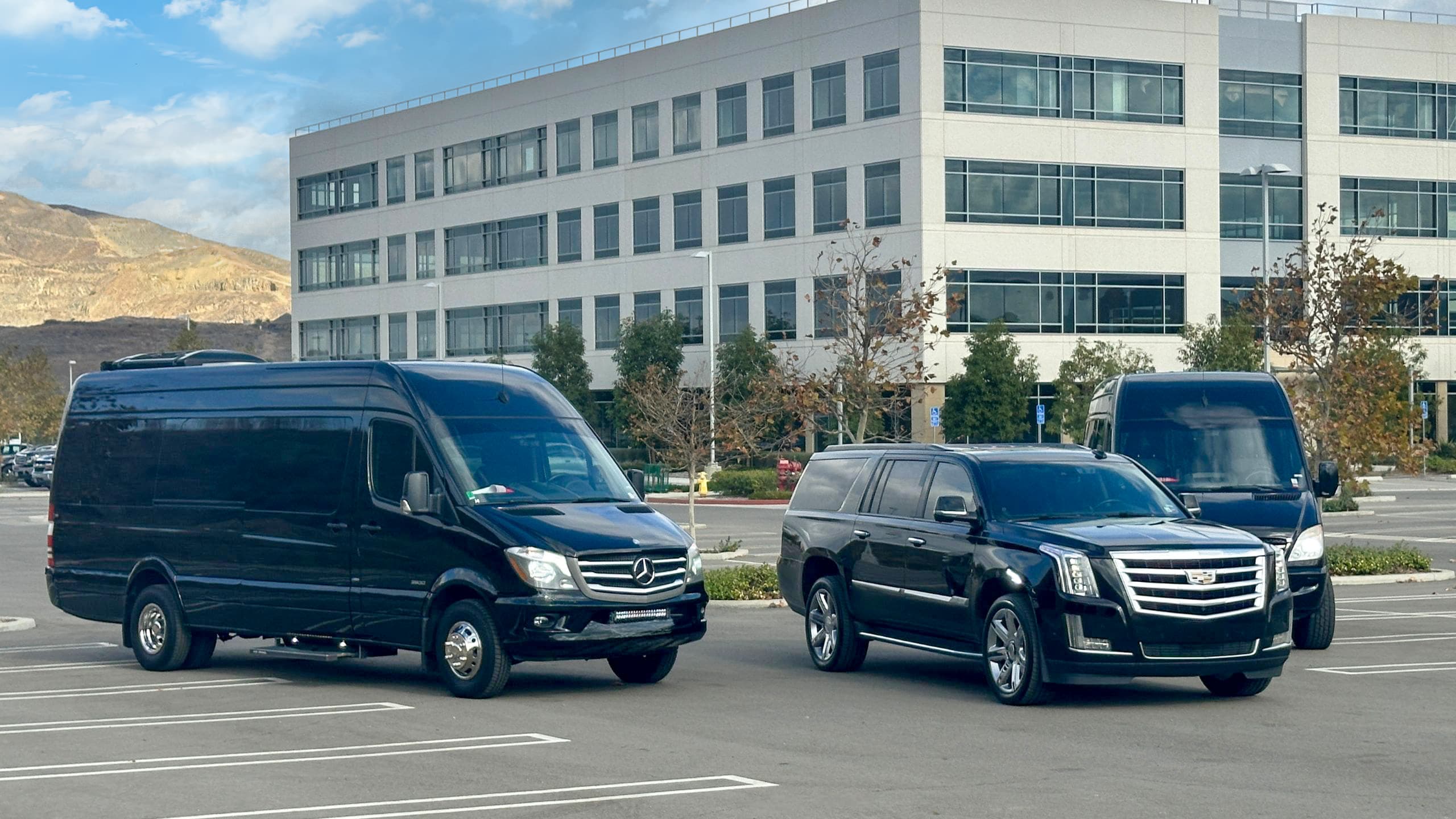 Palm Springs Limo Services Banner